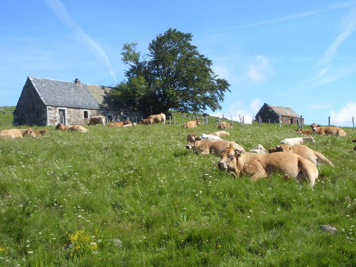 Saint-Chély-dʼAubrac Chambres D'Hotes Le Lepadou-Bas المظهر الخارجي الصورة