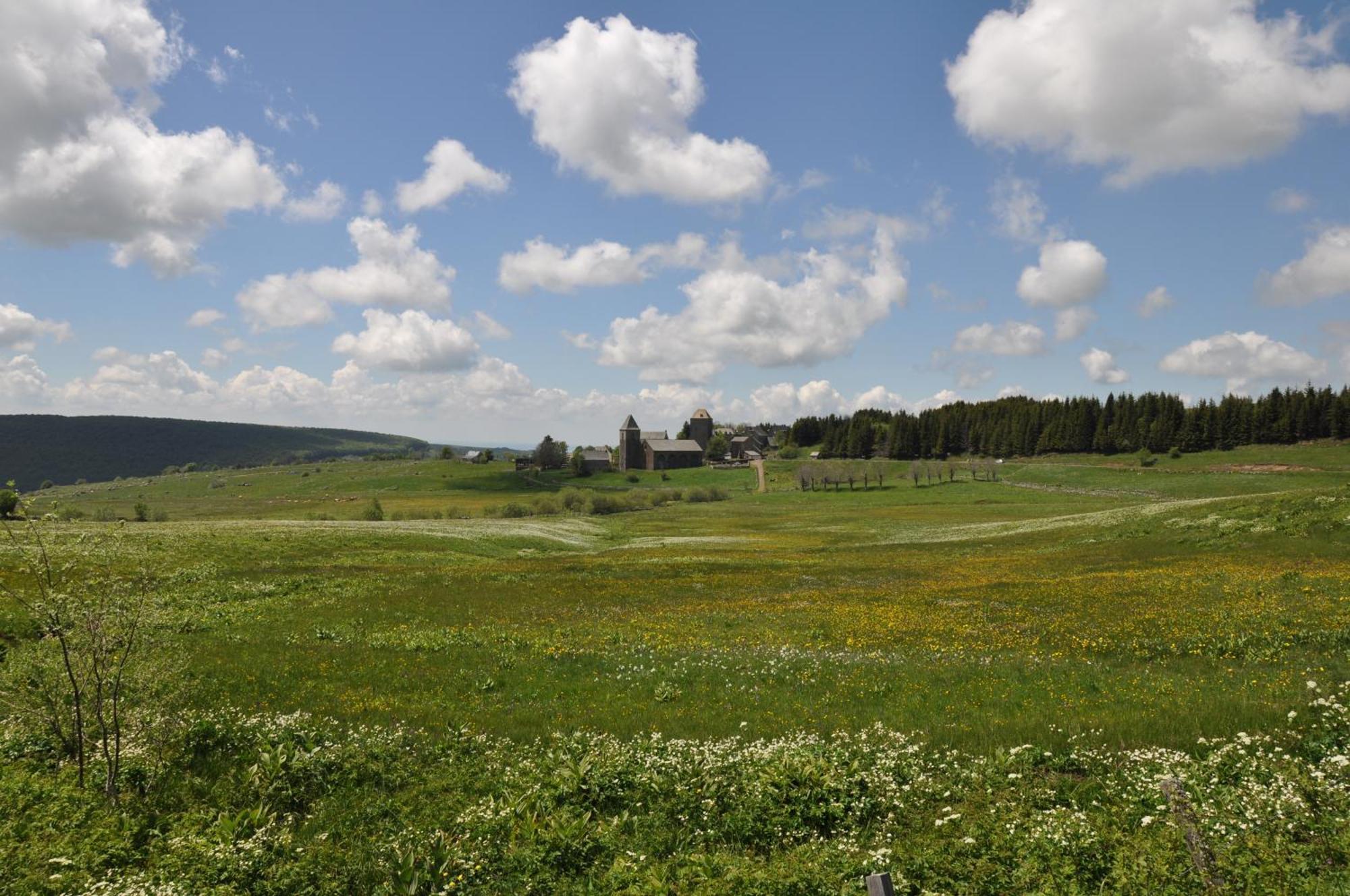 Saint-Chély-dʼAubrac Chambres D'Hotes Le Lepadou-Bas المظهر الخارجي الصورة